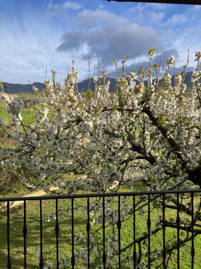 Vila Mirada A Gredos Candeleda Exteriér fotografie